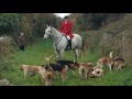 The Kilkenny Hunt Opening Meet 2016/17