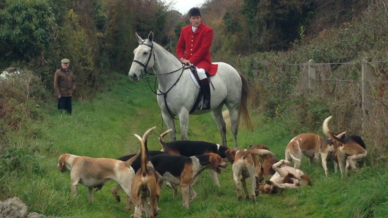 The Kilkenny Hunt Opening Meet 2016/17