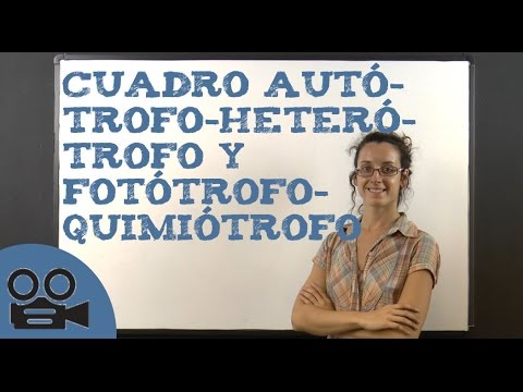 Cuadro autótrofo-heterótrofo y fotótrofo-quimiótrofo