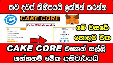 CakeCore Coin Withdraw। CakeCore Wallet Connect | How to connect cake core to Metamask
