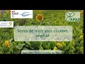 Semis de mas en agriculture de conservation des sols  hautsdefrance apad