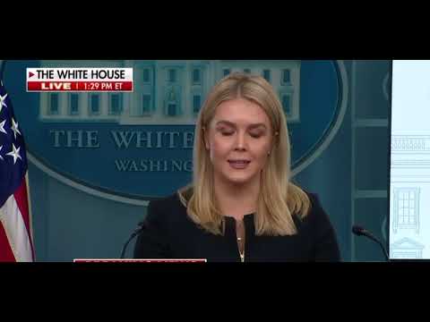 Karoline Levitt calls out MSNBC Nicole Wallace - YouTube