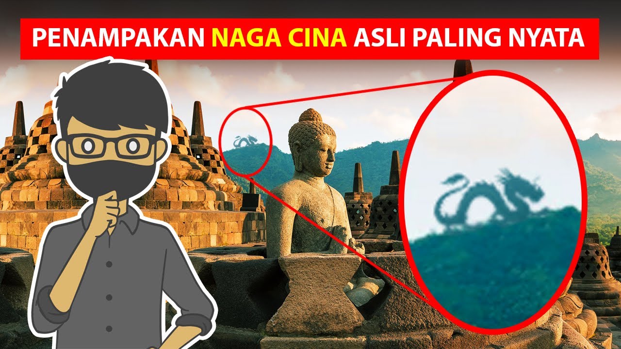 VIDEO PENAMPAKAN NAGA CINA DI DUNIA NYATA YouTube