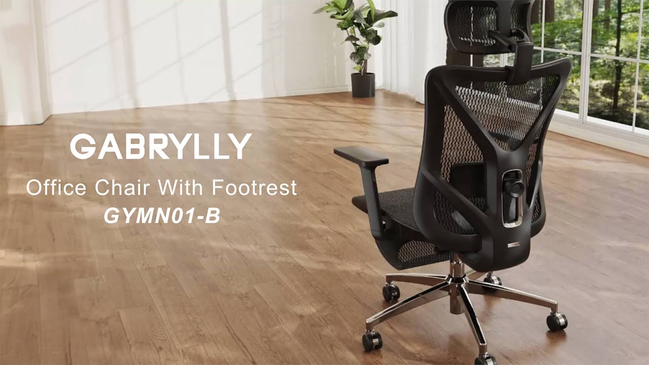 Show you GABRYLLY Office Chair with Footrest GYMN01-B