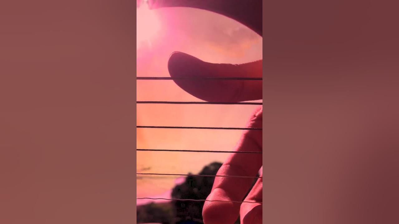 supermarket flowers // ed sheeran guitar fingerstyle cover YouTube