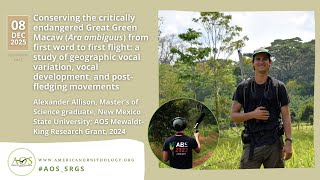 Conserving the Critically Endangered Great Green Macaw Ara ambiguus From First Word to First Flight