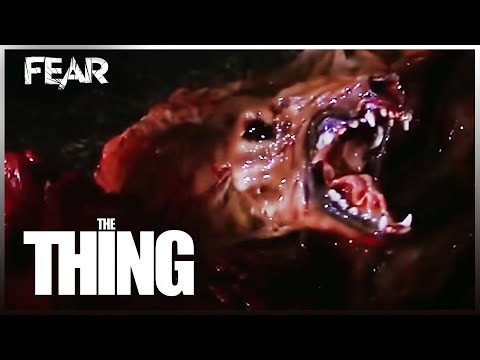 The Thing Dog Transformation Scene | The Thing (1982)