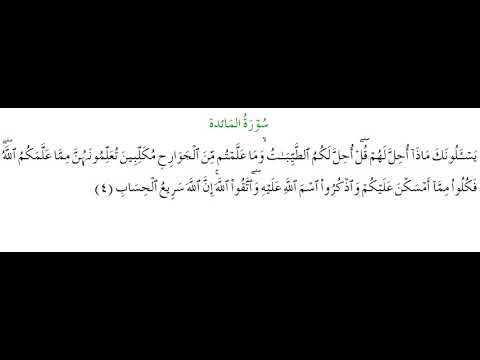 SURAH AL-MAEDA #AYAT 4: 21th November 2020