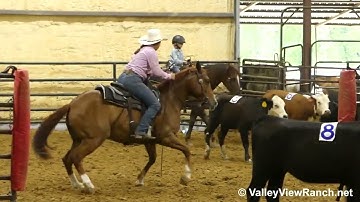 Mr Pepto Sassy Cat - sorting! - ValleyViewRanch.net