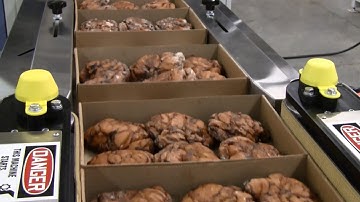 Conflex CWM-200 Lap sealer & Servo indexing infeed running bakery trays