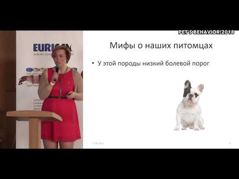 "Боль в жизни животных. Что нужно знать владельцу?" Татьяна Краснова на "Pet's behavior - 2018"