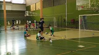 Treino Específico Goleiro Futsal - Base