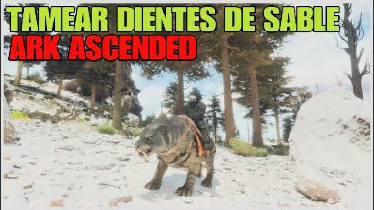 como TAMEAR un DIENTE DE SABLE en ARK ASCENDED (sabertooth) [ASA] - YouTube