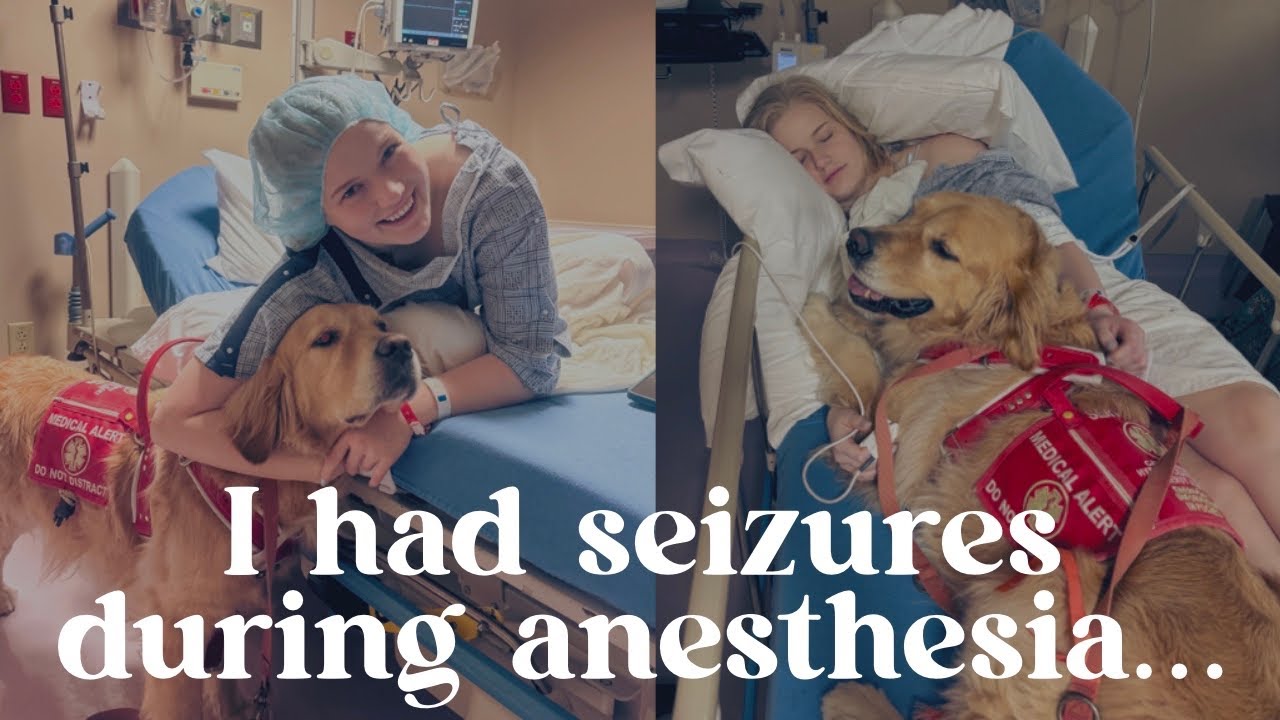 Замена зонда для кормления обернулась для меня госпитализацией (с моей собакой-поводырем)