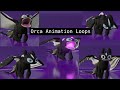 Orca loop animations  blender 3d