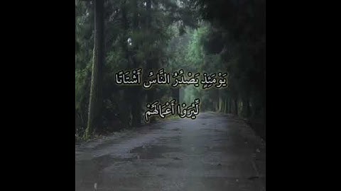 سورة الزلزال (القارئ حسام الدين عبادي)