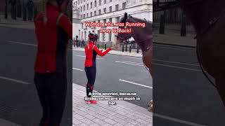 Did you saw my video 2 days ago? #horseguards #welcometolondon #horse #uk #buckinghampalace #crazy