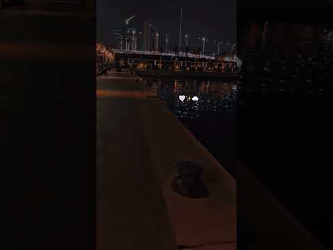 بعمري شريك المدينة المنورة اغاني اغاني سورية