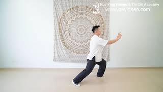 Tai Chi 8 Form Instructional Video 6 (Left Brush Knee - 搂膝拗步 Lou Xi Ao Bu)