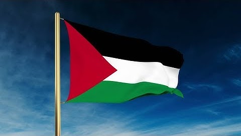 4K Palestine flag slider style. Waving in the win with cloud background animation Stock video