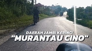 MURANTAU CINO || Lagu daerah jambi kerinci enak bangat dengar TERPOPULER Music melayu