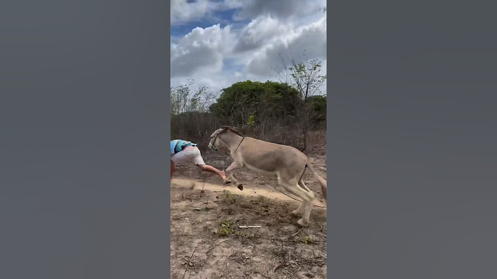 Vai deixar vovó #shorts #humor