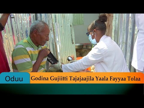 Godina Gujiitti Tajajaajila Yaala Fayyaa Tolaa 