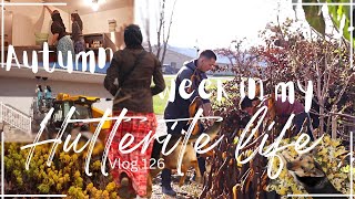 Fails, Cleaning, Putting The Garden To Bed + Other Autumn Bits & Bobs....Vlog  126