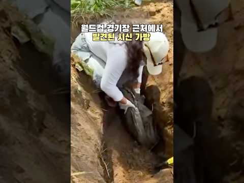 카르텔의 근거지에서 열리는 월드컵
