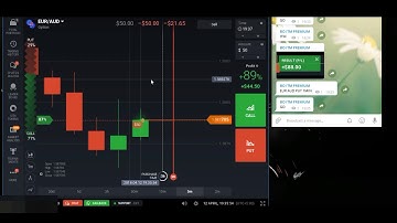 Best Binary options live-Trading Signal Telegram Today Proof Part 68