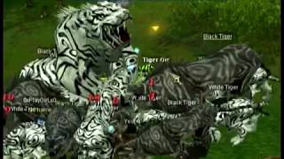 tg kill 20