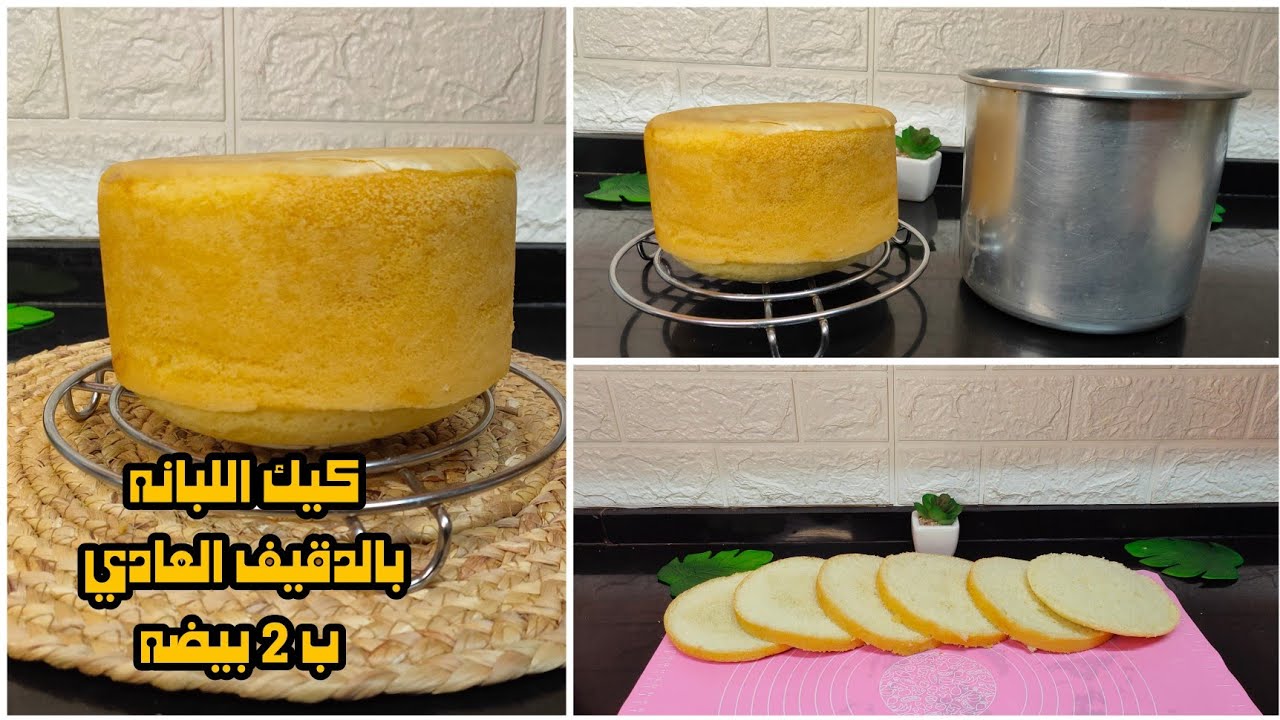 كوب دقيق و2 بيضة عملت اقوي فديو للتورت والجاتوهات مع شرح مهم جداا