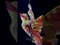 Our bugs are just so amazing | Cirque du Soleil #shorts