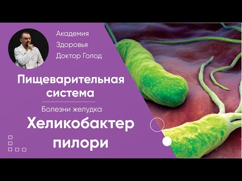 Хеликобактер пилори - его значение при болезнях желудка.