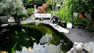 Modern Koi Blog #3213 - A water analysis of a 55,000 liter pond