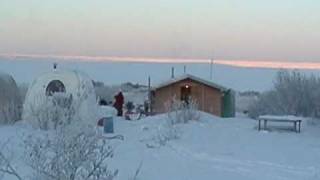 Norman Fengs Dogsledding Trip Alaska