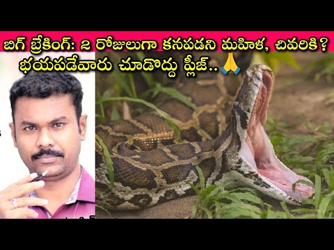 Missing Woman Found Inside Python’s Belly In Indonesia: ఈ కొండచిలువే ...