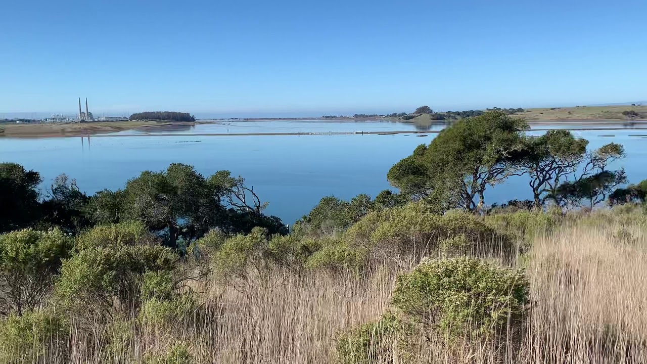 Elkhorn Slough, CA YouTube