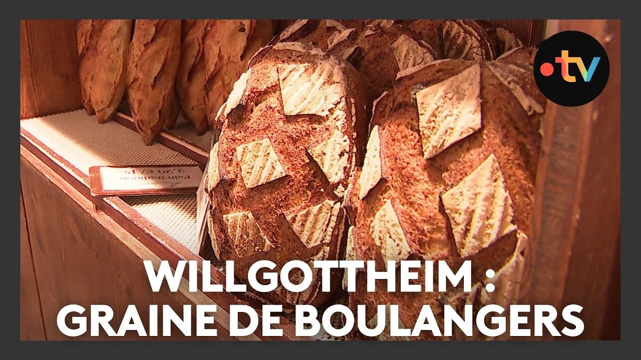Un lieu, des histoires à Willgottheim : graine de boulangers - Episode 3/4