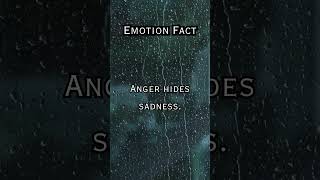 Emotion Fact