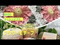DAISOコットナブルで編むフラワーモチーフ　パプコーン編み