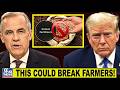 Canada Cuts Off Potash Supply — U.S. Farmers Face Another Growing Crisis!