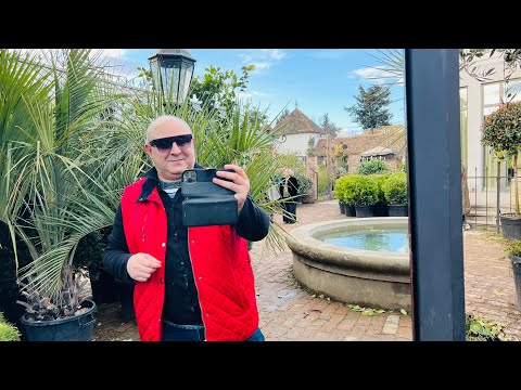 Тбилиси. Где начинается настоящая весна? «Гардения Шеварднадзе»- райский уголок в черте города.