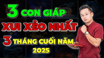 3 Con Giáp Vận Trình Xui Xẻo Nhất Cuối Năm 2025, Gặp Hạn Lớn Đề Phòng Mất Mát