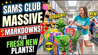 Sam’s Club is unmatched right now... 😳 Hidden markdowns + the ultimate plant haul!