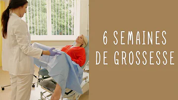 Comment est la grossesse à 6 semaines ?