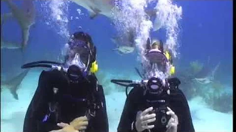 Shark Diving