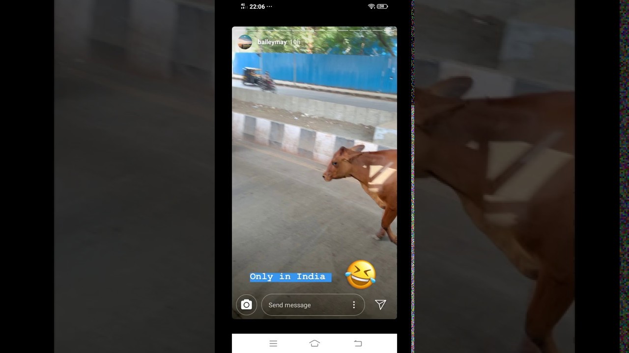 BAILEY MAY - NOW UNITED - ONLY IN INDIA