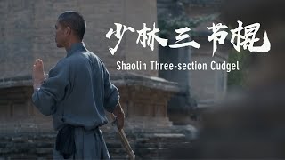 中国武術　少林拳　達磨杖　契木　千切木　乳切木 中国武術 少林拳 達磨杖 契木 千切木 乳切木 - メルカリ