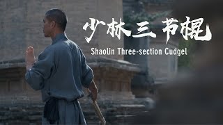 Shaolin soft weapon: Three-section cudgel | 少林三节棍：身动心净，洞达禅理 screenshot 5